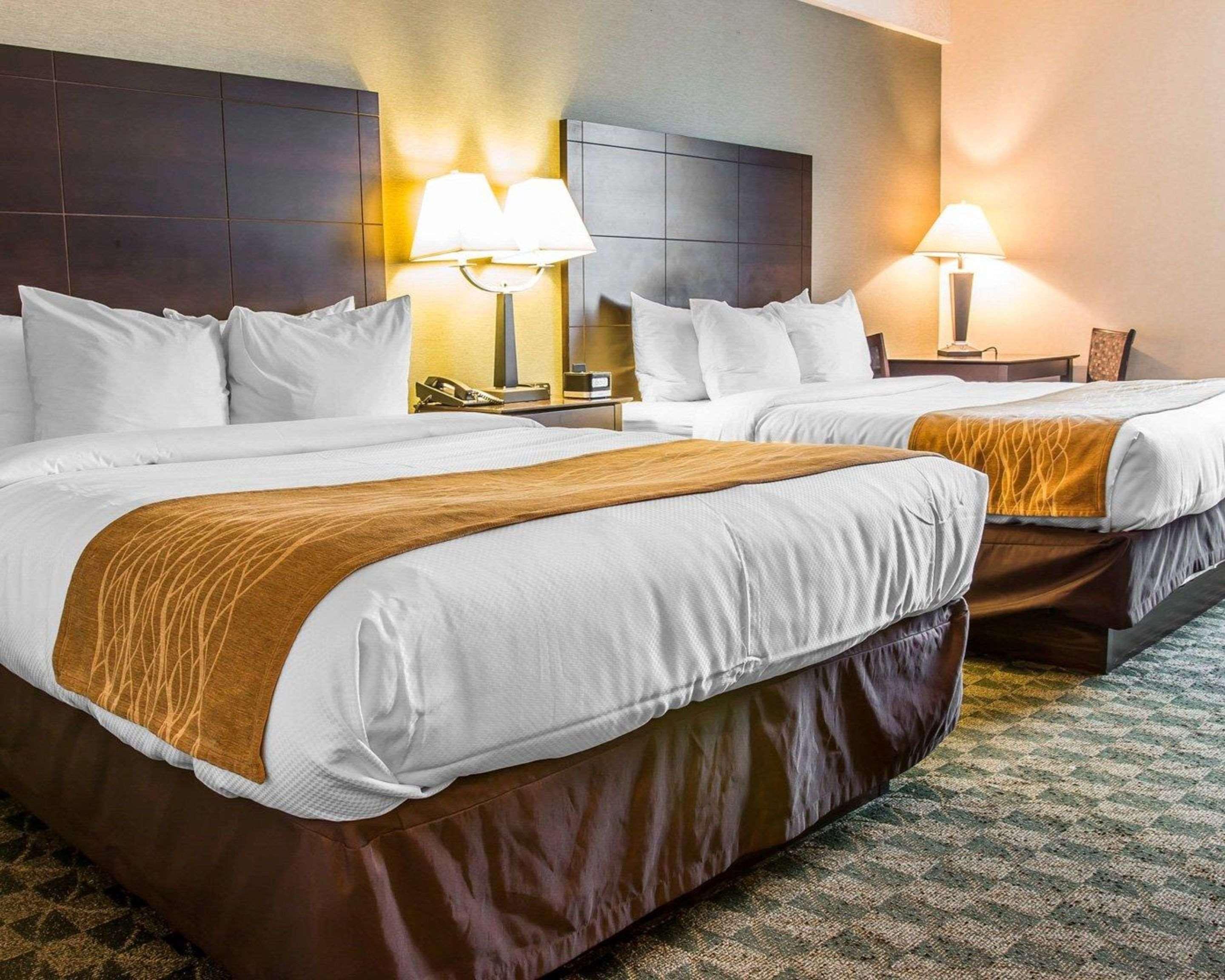 Comfort Inn Whitehall Near Michigan'S Adventure Exteriér fotografie
